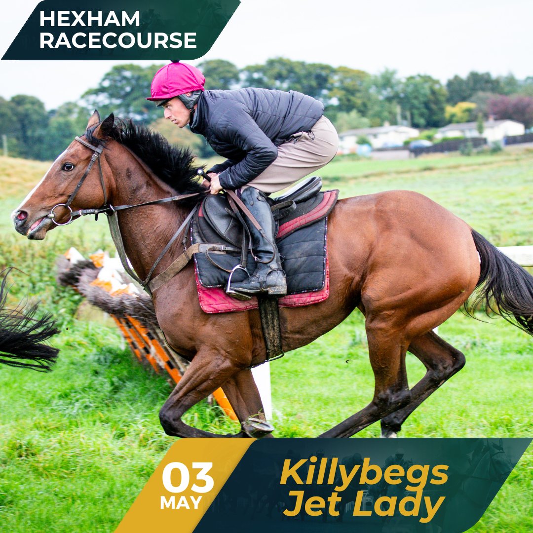 Old Gold Racing (@oldgoldracing) on Twitter photo Killybegs Jet Lady has been declared to run at <a href="/HexhamRaces/">Hexham Racecourse</a> on May 3rd in the 20:10 Greenhead Hotel Handicap Hurdle over 2m7½f.
Alan Doyle retains the ride! Killybegs Jet Lady has been declared to run at <a href="/HexhamRaces/">Hexham Racecourse</a> on May 3rd in the 20:10 Greenhead Hotel Handicap Hurdle over 2m7½f.
Alan Doyle retains the ride!