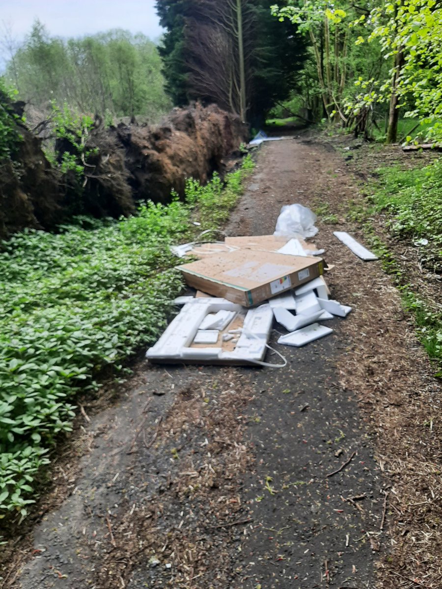 toffo71's tweet photo. @EastRenCouncil Fly tipping zone https://t.co/rlVu23mPnY