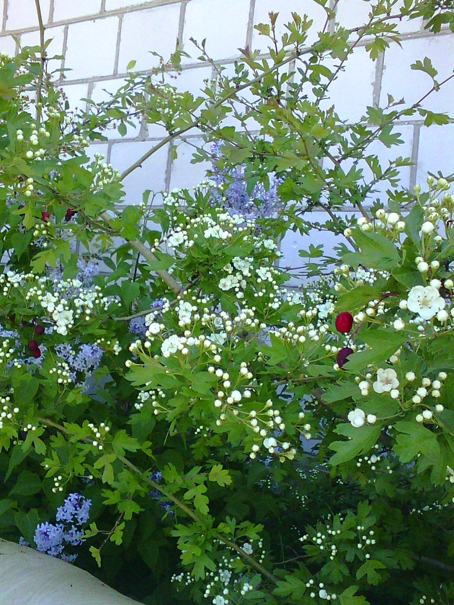 Agnieszka Wadolowska (@atrojka3) on Twitter photo 