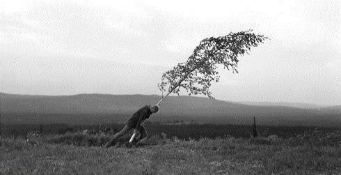 "insan yüz yıl bile yaşamaz ama bin yılın endişesini taşır."