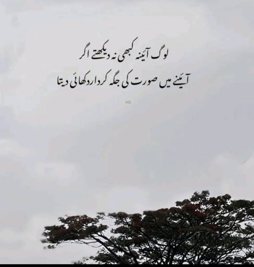 लोग आईना कभी ना देखते अगर आईने में सूरत की जगह किरदार दिखाई देता