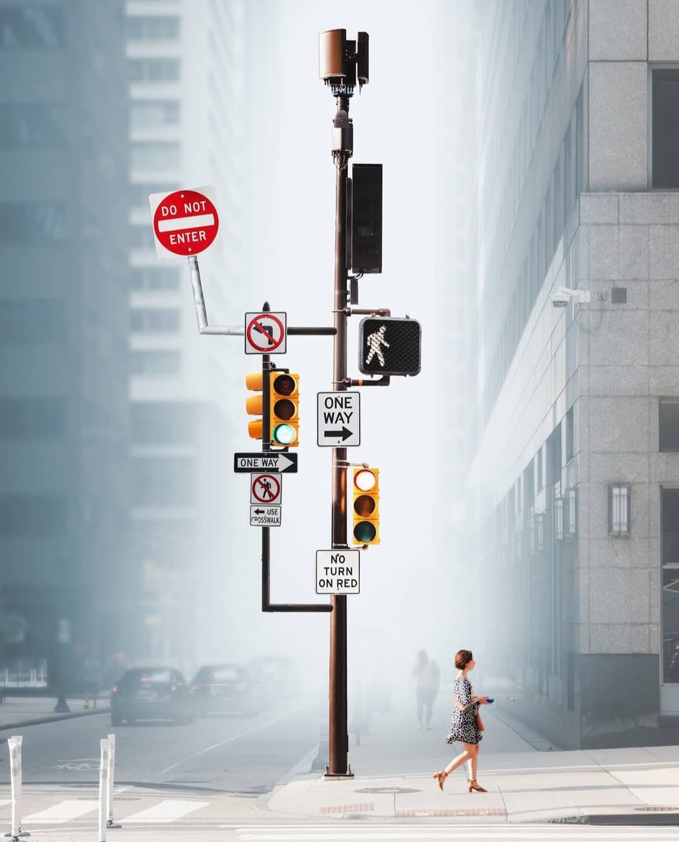 theglobalphotocommunity tweet media