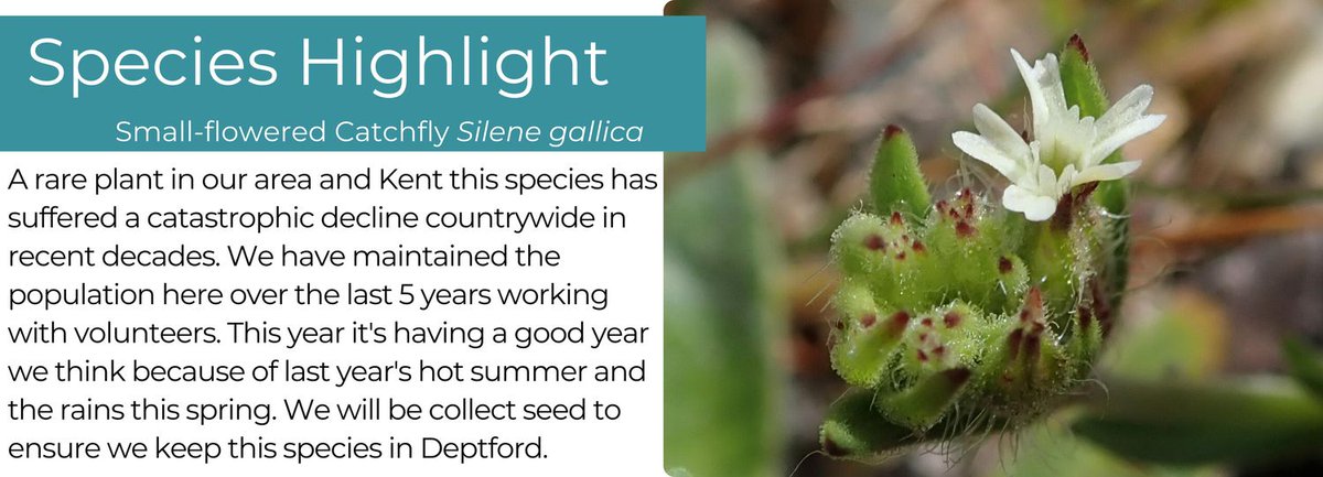 Creekside Discovery Centre - Tidings of the Creek - May - mailchi.mp/creeksidecentr…