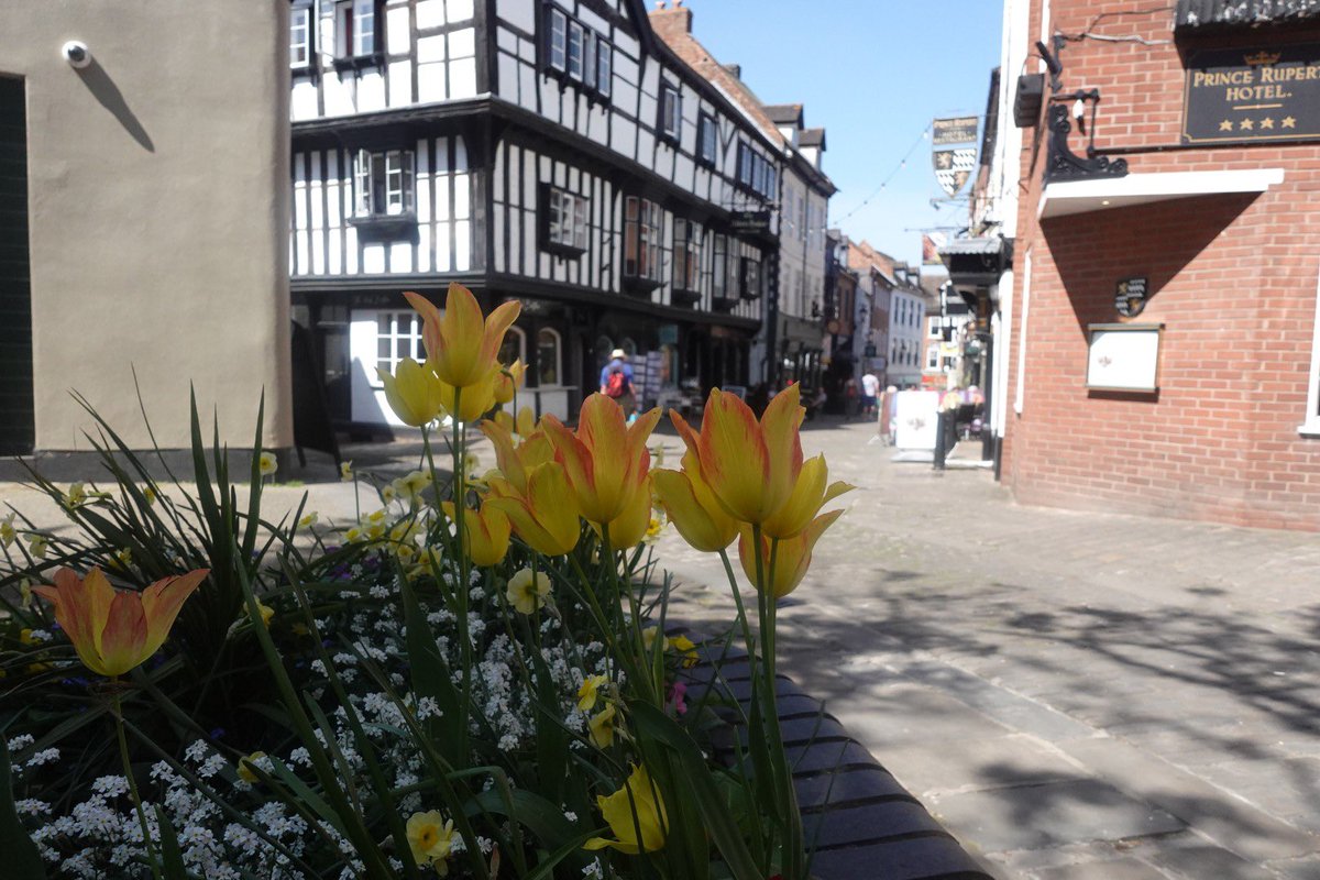 Shrewsbury tweet media