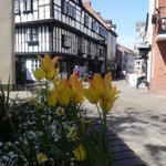 Photo by Shrewsbury (@TheBearSteps)