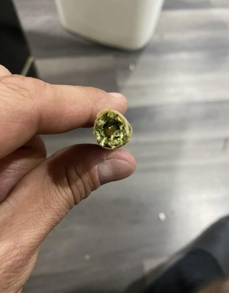 Everyone else use everything ?

t.me/+vEb5kmbEW5szY…