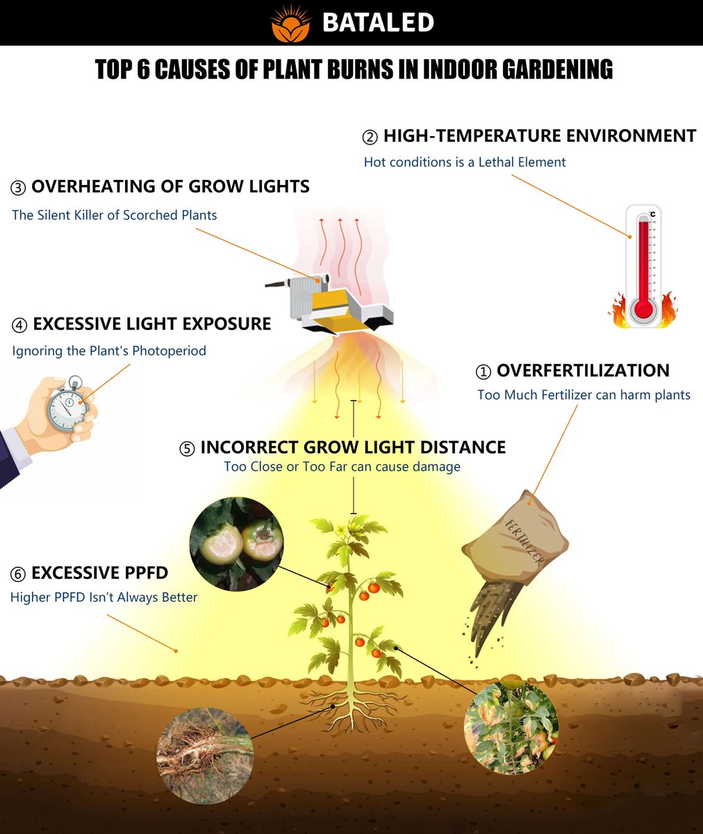 Visualistan tweet media
