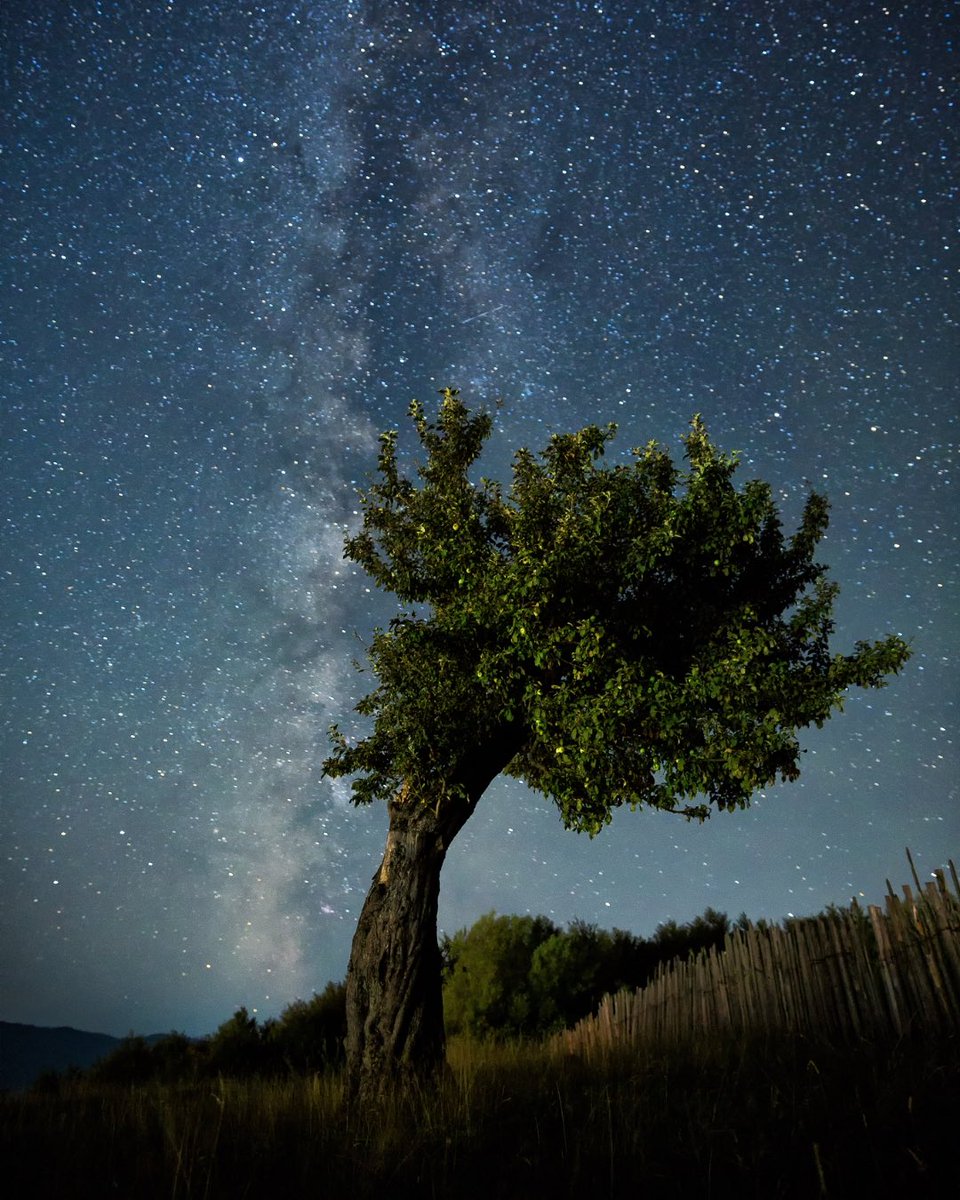 Rooted in history. Reaching for the stars. Proud to be European.

In the lead to #EuropeDay, we reflect on what unites us: a shared commitment to peace, progress, and solidarity — the values that guide our work every day since 1959.