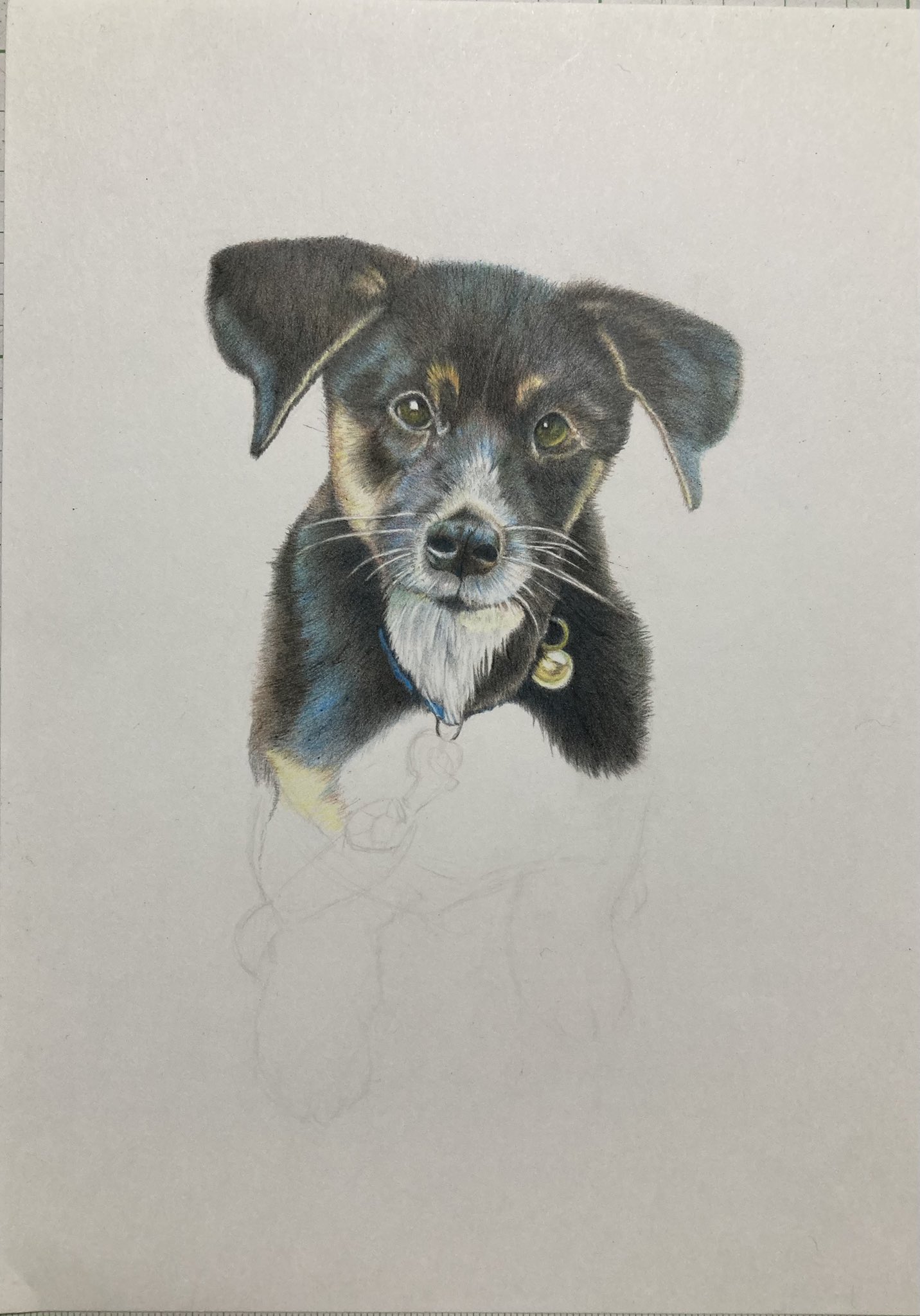 手描き ハイグレードリアル色鉛筆画【原画】犬 No.5
