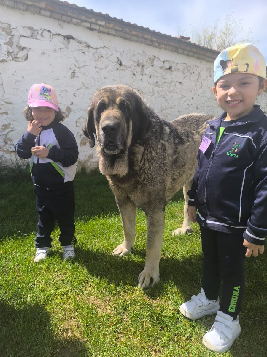 ¡Día de campo y aventuras! 🌿🧺🐾
En <a href="/LasCortasdeBlas/">Las Cortas de Blas</a> los peques aprendieron, rieron y exploraron al aire libre 🐓🌞🍃
¡Nada como descubrir el mundo jugando y con emoción! ✨🧒👧🌍
#GranjaEscuela #AprenderJugando #CortasdeBlas #Naturaleza
#SomosFamilia #SomosVedruna