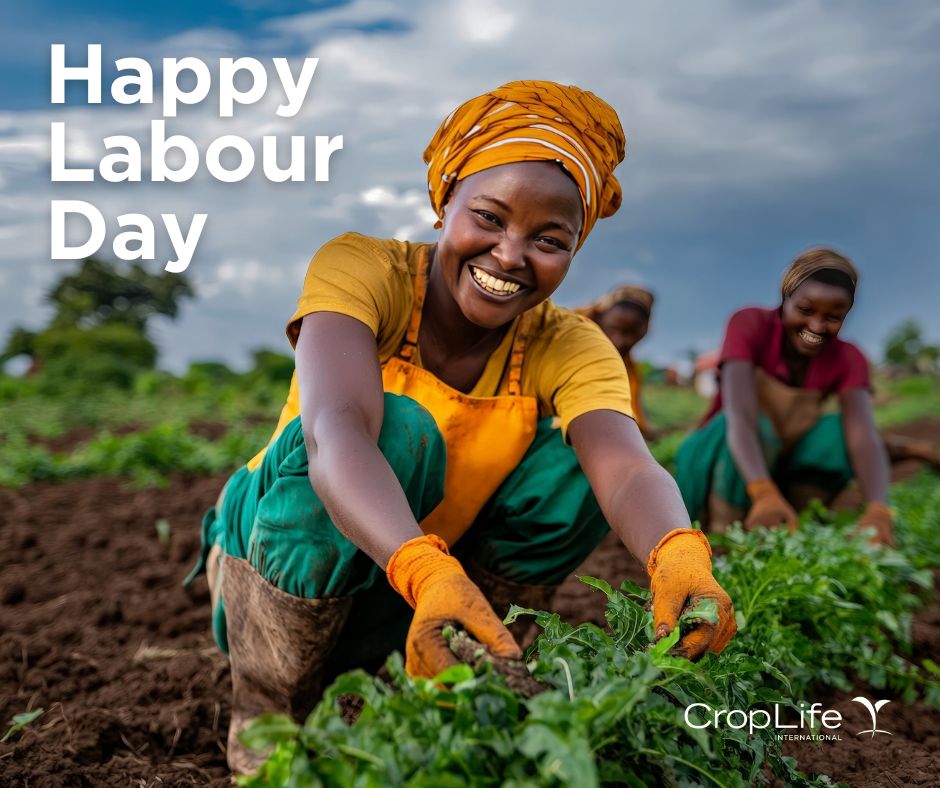 Today, we honor the hard work and dedication of all laborers who contribute to the growth and sustainability of agriculture across our region. Your efforts drive progress in food security, innovation, and environmental stewardship. Thank you for making a difference every day!