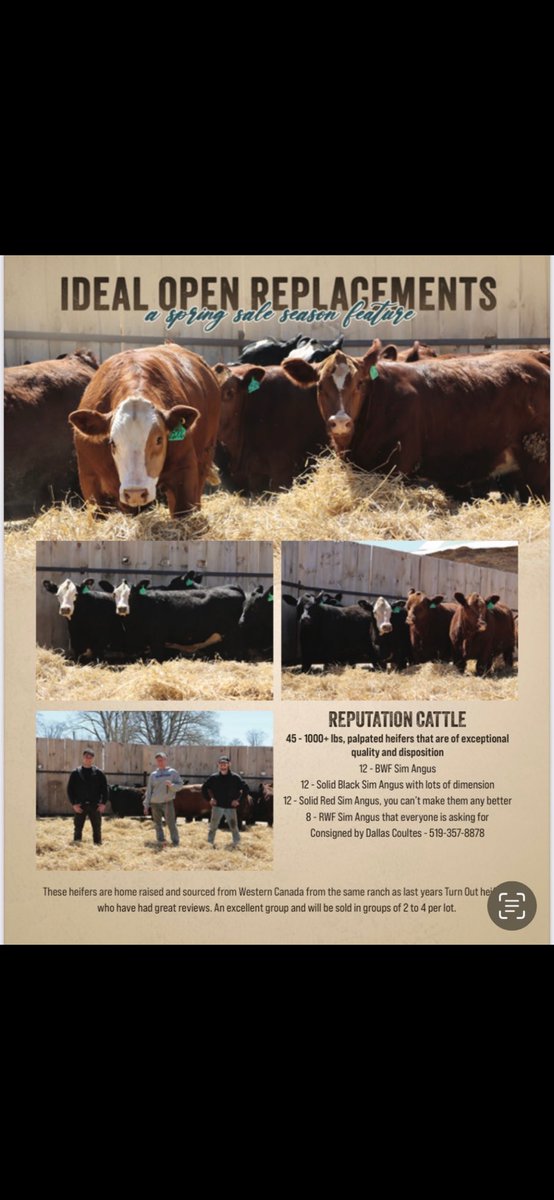 Paul Coultes tweet media