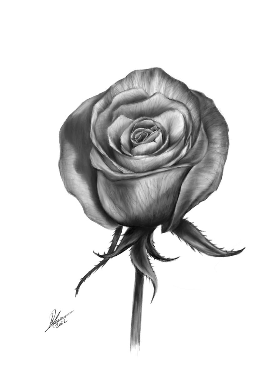 GhamdiReema's tweet photo. @alamalrsm ��لسلام عليكم. هذا رسمي في الرسم الرقمي بأسلوب رسومات واقعية. تم رسمهم بإستخدام برنامج البروكرييت على الآيباد. https://t.co/AcUw7ZvgHL