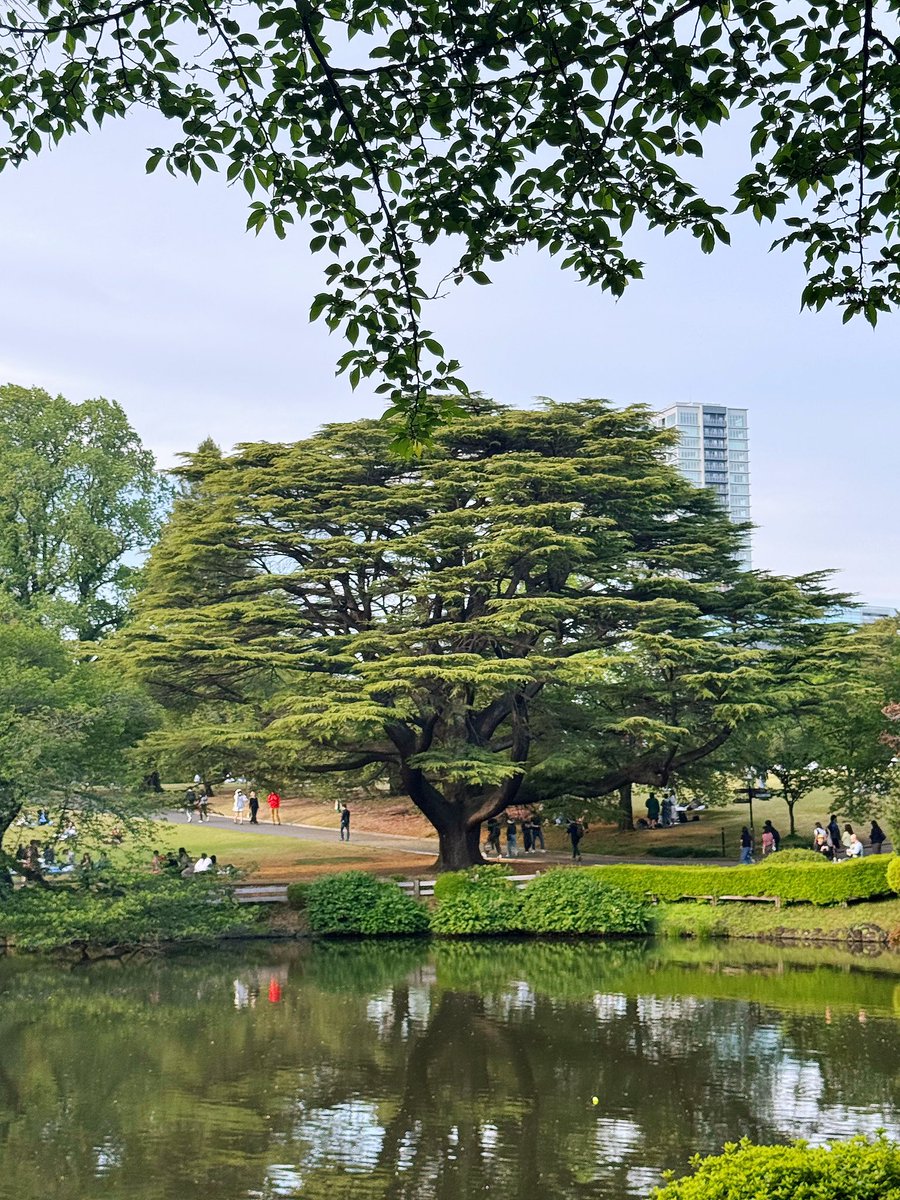 Fan Bingbing 范冰冰 tweet media