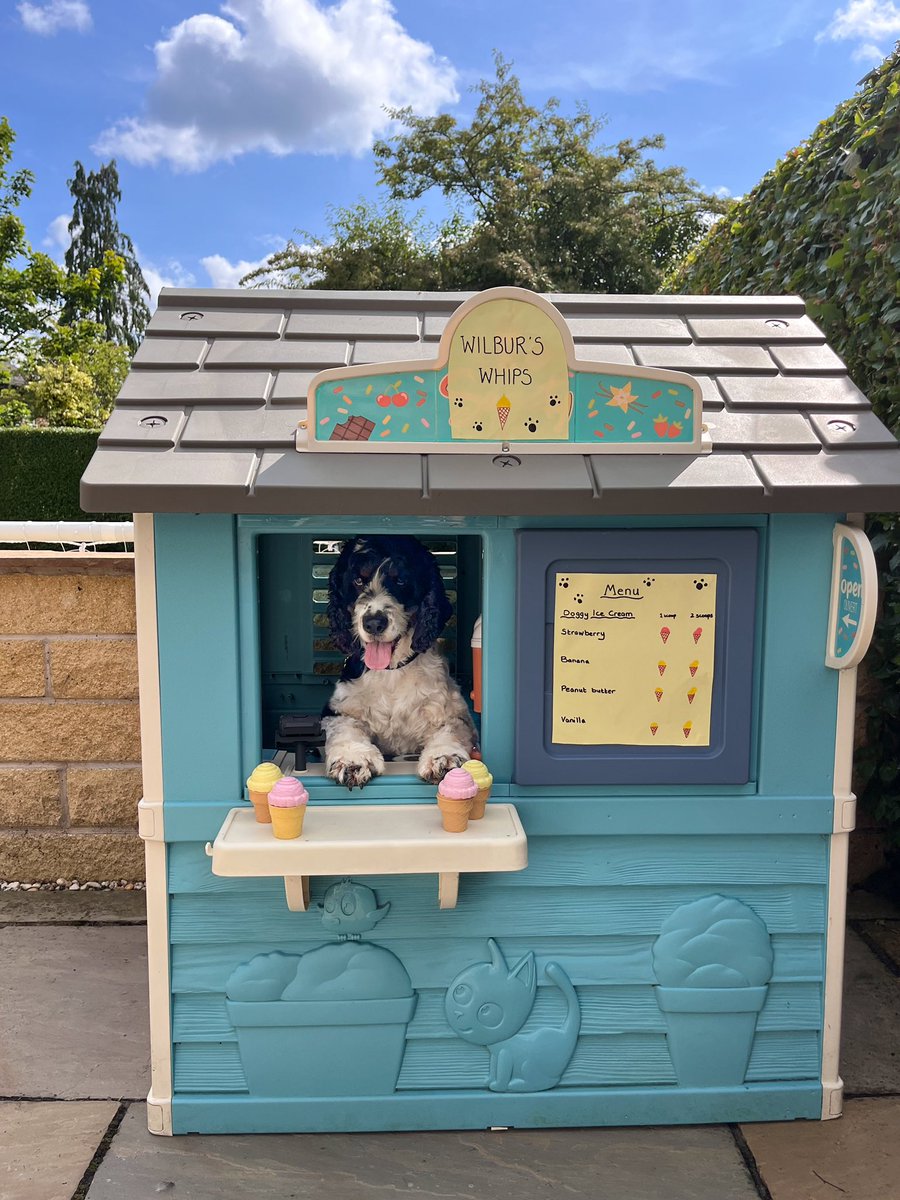 Lucy and Hearing Dog Wilbur tweet media