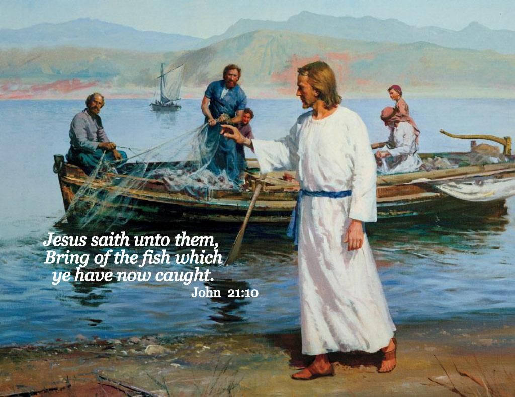 LLOYD2W's tweet photo. #Christianity #QisJFKjr #TRUTH #EBS #YHWH #Jesus #EAS #flatearth #Trump @elonmusk @catturd2

EZRA 6,7,8 JOHN 21

Then the exiles who had returned from captivity sacrificed burnt offerings to the God of Israel: twelve bulls for all Israel, ninety-six rams, seventy-seven male lambs https://t.co/DXlHimt20r