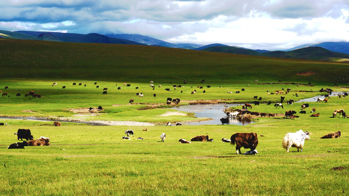 Сайхан Монгол орон цуврал #1  Гэрэл зургийг сэтгүүлч Л.Баатархүү /Өвөрхангай аймгийн Уянга сумын нутаг, Шурангийн хөндий/