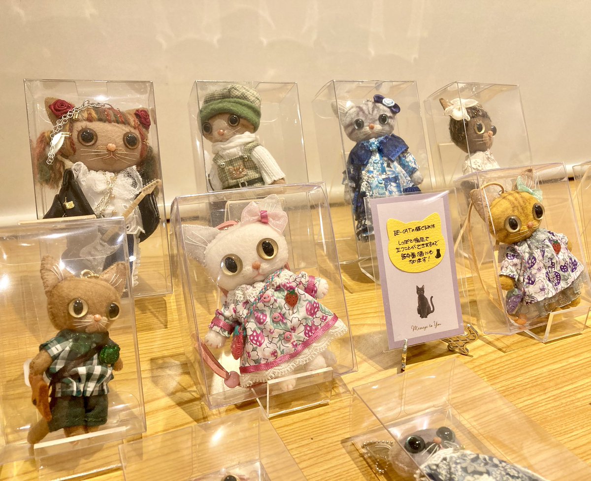 shimanukikokesi's tweet photo. みちのくの猫展 vol.18
参加作家
猫ぐるみのBE-CATさん
バッグに下げても立たせても
どちらでも可愛い猫ぐるみ😸
#BECAT
#みちのくの猫展
#しまぬき本店 https://t.co/YoTltBriVs