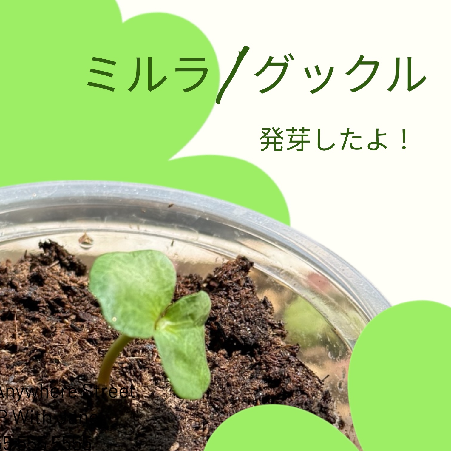 orangeflower_shop (@orangeflower_jp) / X
