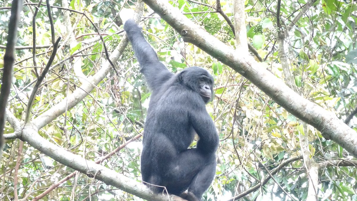 ALLIANCE GSAC tweet media