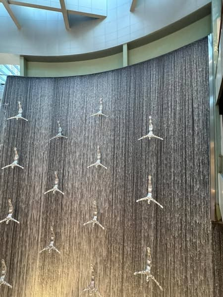 Dubai Mall 🇦🇪🩵