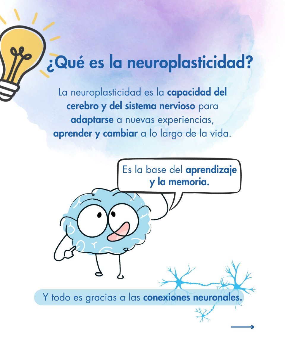 Moldear tu cerebro depende de ti 🧠💫

¿Sabes lo que es la neuroplasticidad o plasticidad del cerebro?

#RamónYCajal #menteScopia #neuroplasticidad #saludmental