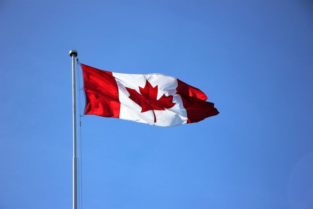 Immigration Consequences of Criminal Convictions in Canada: Recent Case Law Developments #cdnimm #ircc #immigration #cdnpoli #canada #esdc #cilavoice