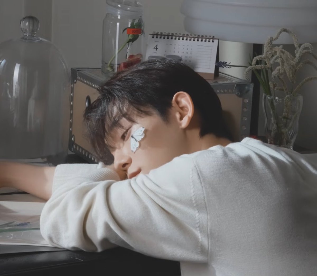 하루 🐈 tweet media