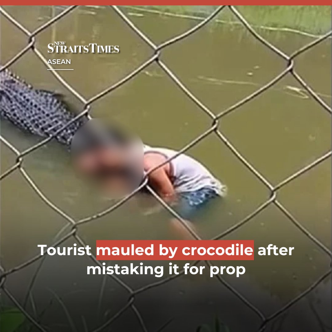 NST_Online's tweet image. #NSTasean A #tourist in the #Philippines was mauled by a #crocodile after climbing into its enclosure for a selfie, mistaking the predator for a #prop.

According to &quot;The New Zealand Herald&quot;, the man, 29, reportedly scaled a fence and entered the water at Kabug Mangrove Park and…