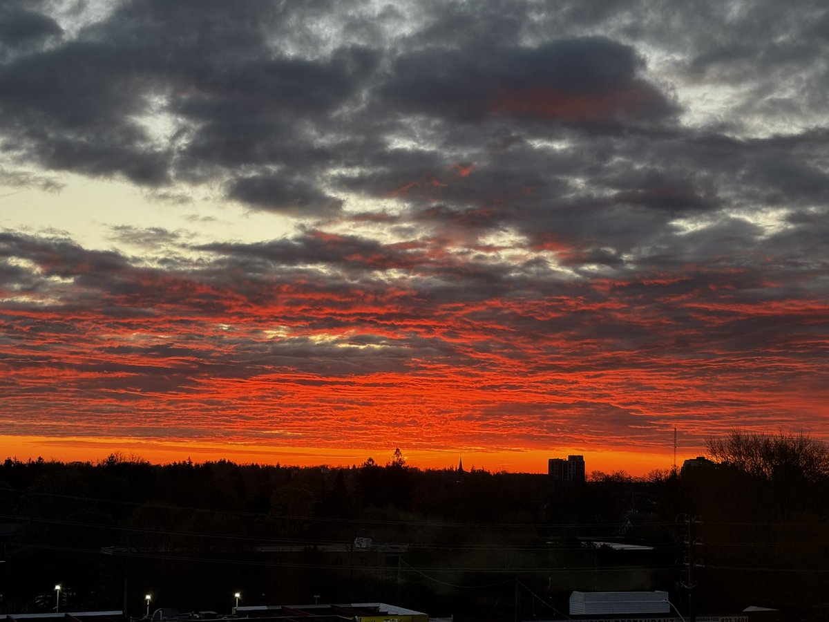 Good Morning #Guelph! #theroyalcity <a href="/DowntownGuelph/">Downtown Guelph</a> <a href="/GuelphBugle/">Guelph Bugle</a> 🧡