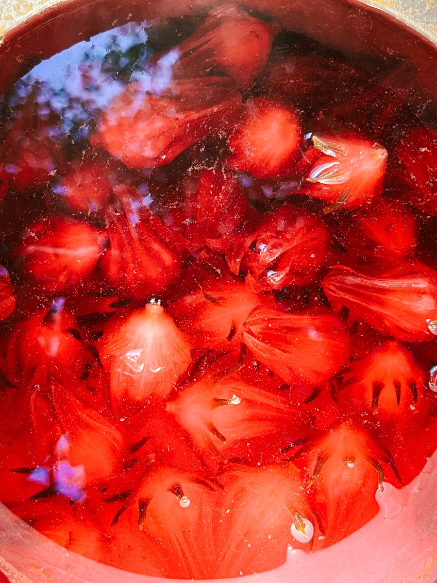 merekamcahaya's tweet photo. New skill unlocked: membuat sirup rosela 🌺 https://t.co/7t0N2ilkfW