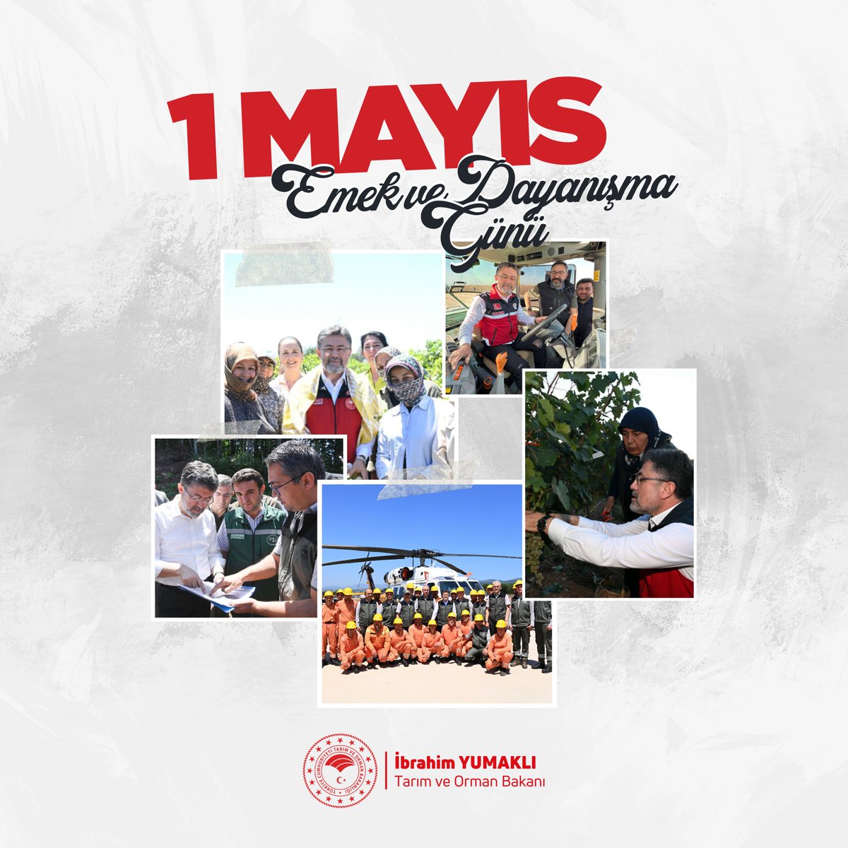 🌾🤝 Fidanları toprakla buluşturan, alın teri ile bereketi hasat eden, #YeşilVatanımızı cansiparane savunan, barajlar inşa ederek üretime güç veren, geleceğe umut olan tüm emekçilerimizin #1Mayıs Emek ve Dayanışma Günü’nü yürekten kutluyorum.