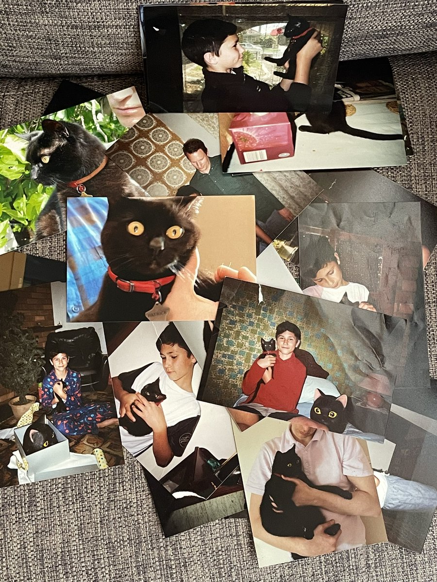 Dave Jackson tweet media