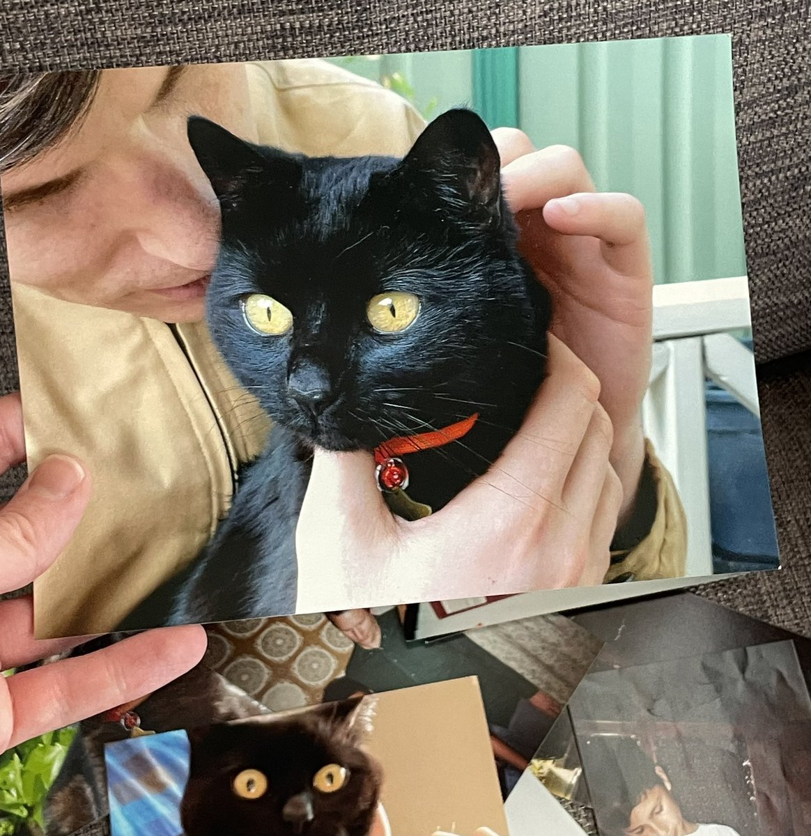 Dave Jackson tweet media