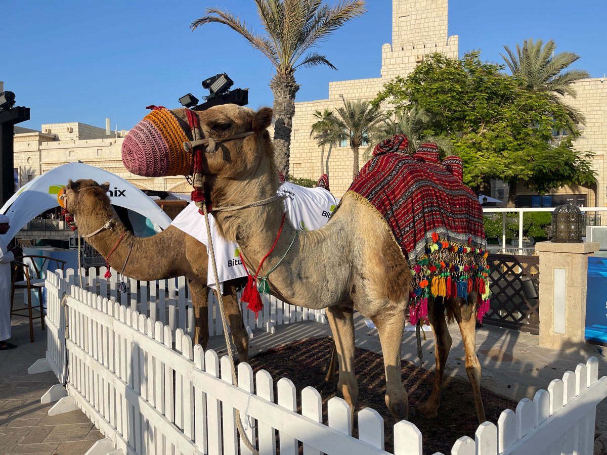 John O'Connell tweet media