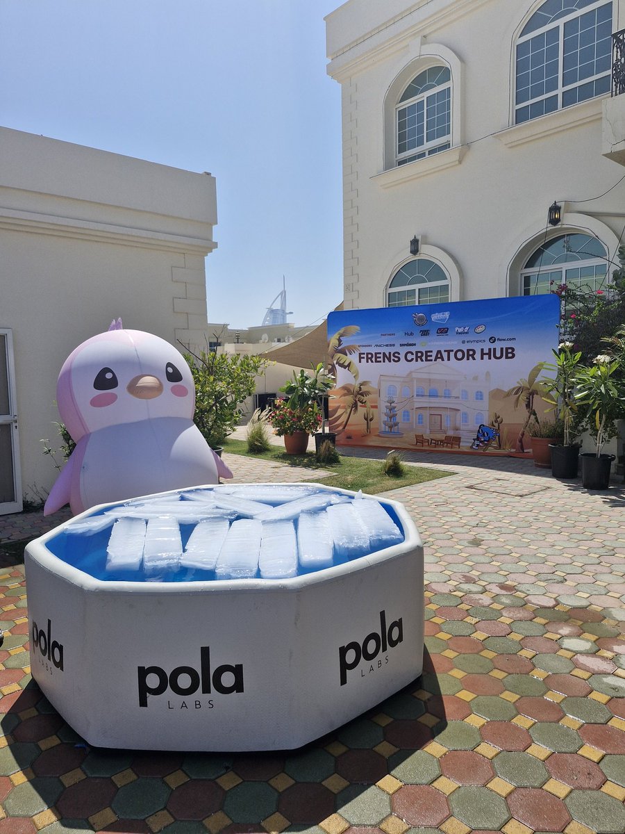 PENGU - ANIMOCA - HUB