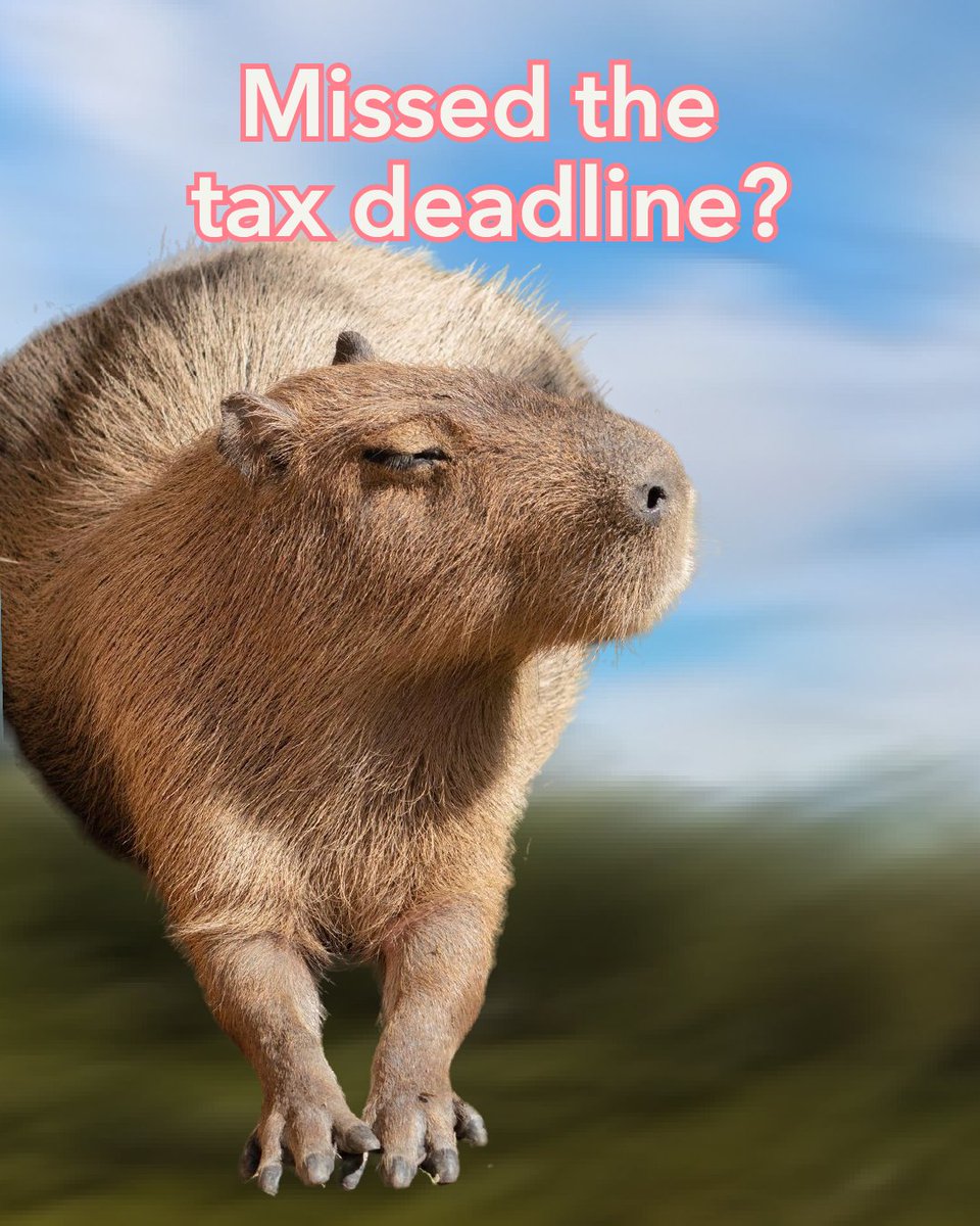 You can still file! See what steps you need to take here: bit.ly/42KF9rj