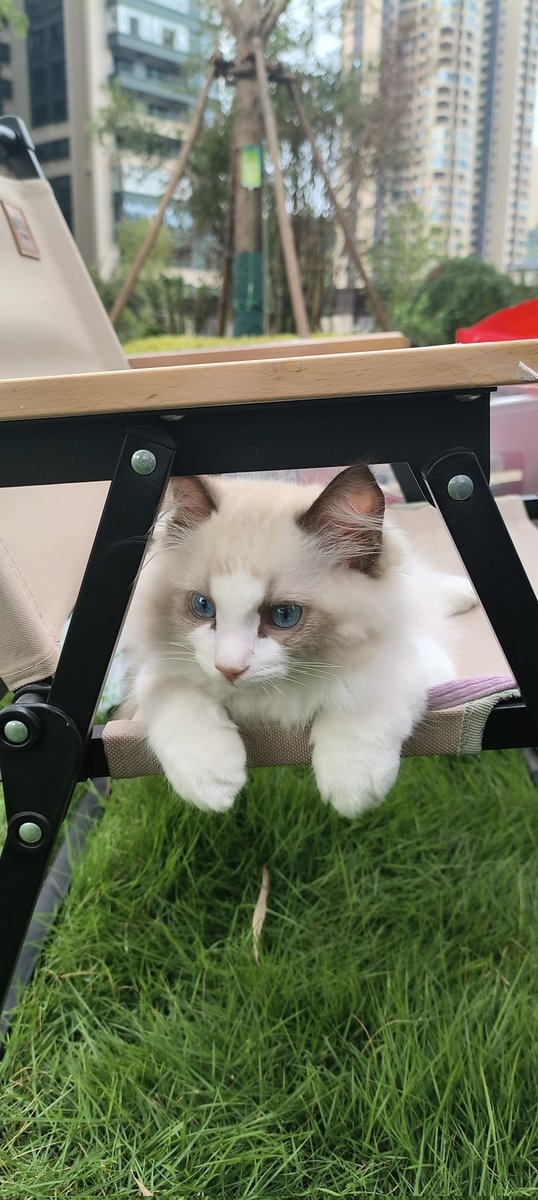 cxy_np55260's tweet image. 