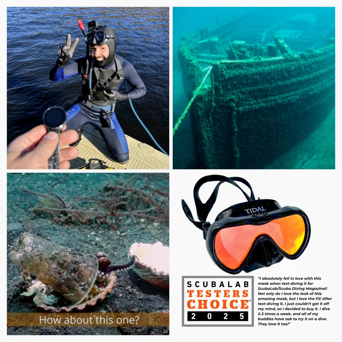 Scuba_Directory's tweet image. 🌊 May Newsletter is here!
 
Must-read stories:
🛠️ Every Diver Needs a Save a Dive Kit
🤿 Tidal Mask
👋 Meet Saltwater Sean
⛴ 6k Shipwrecks
🦑 Octopus Trades up for Shell
🪸 84% of Coral Reefs Affected by Bleaching
 
🔗 Sign up: thescubadirectory.com/about/newslett…
 
 #DiveNews #TidalMask