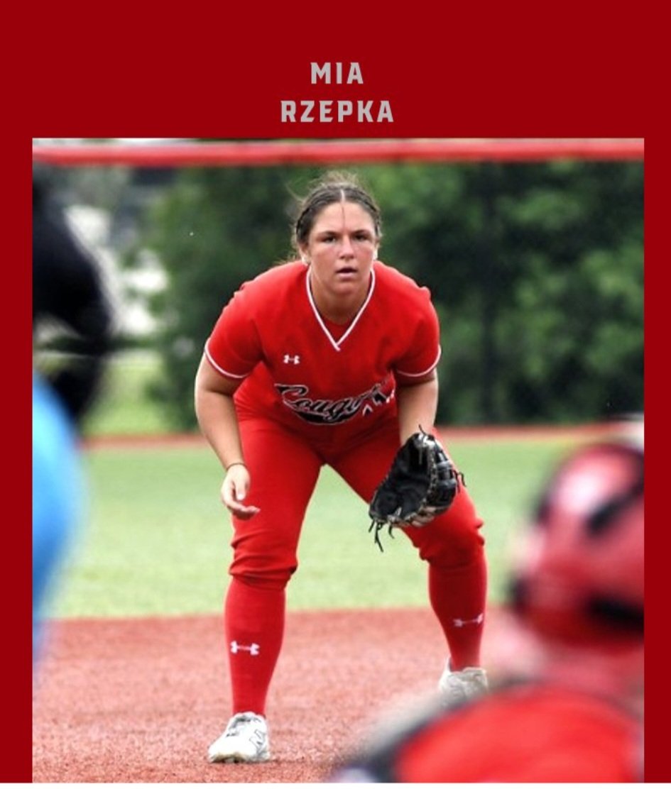 Firestix Fastpitch tweet media