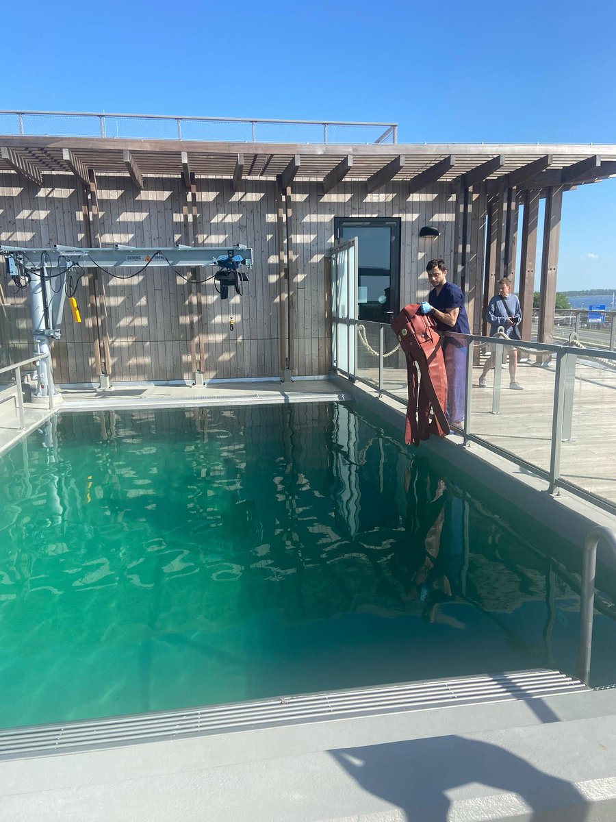 renapoly_93's tweet image. 🐙#Takoniki makes his first appearance at the #WEC!
#Noor was a bit scared at first, but #Witje was very curious!
Enrichments trigger natural behaviors, and fear can also be part of it! 🦭
#アザラシ幼稚園 #sealslive