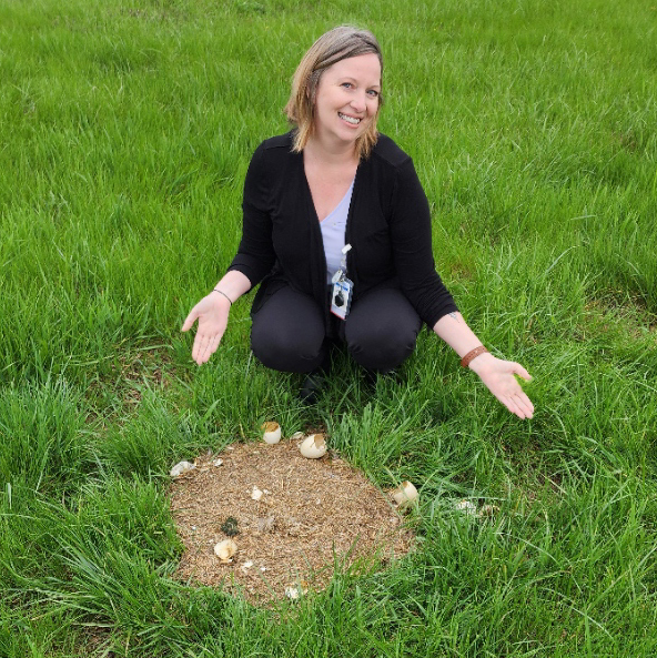 Allied_Moulded's tweet image. 🎉 The goslings have hatched! 🐣
Gerdy the Goose, our favorite Plant 3 neighbor, is now a proud mama! After weeks of nesting in the Industrial Park, her little ones have finally arrived. 💛
We’re loving every fluffy moment! 👀✨
#GerdyTheGoose #AlliedMoulded #SpringSurprise