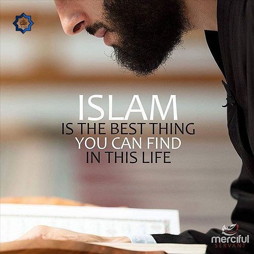 Tayub ch (@tayubch35290) on Twitter photo 