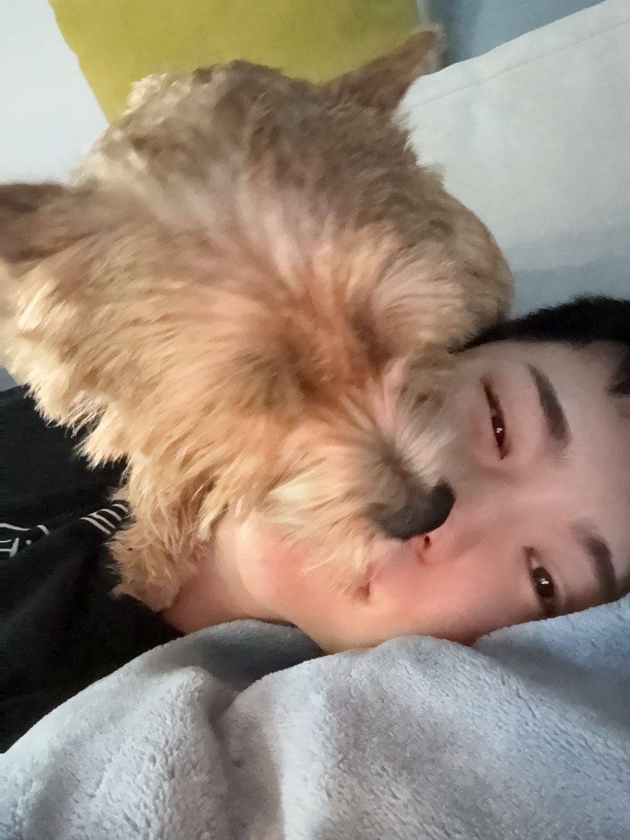 AAAAA HOSHI AND LATTE REUNITED! WE GOT NEW HOSHI LATTE PHOTOS ! 🥹🤍