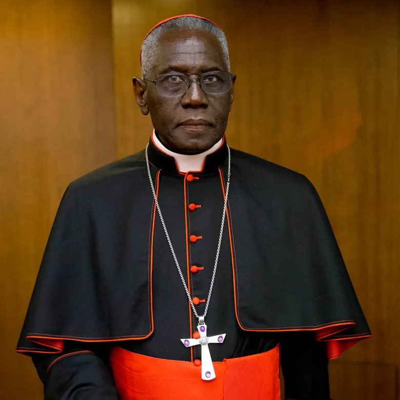 realrafaeldiaz's tweet photo. "La idea de que todas las religiones son iguales es una mentira diabólica. Solo la Iglesia Católica posee la plenitud de los medios de salvación".

— Cardenal Robert Sarah https://t.co/KI7D6CD6Q8