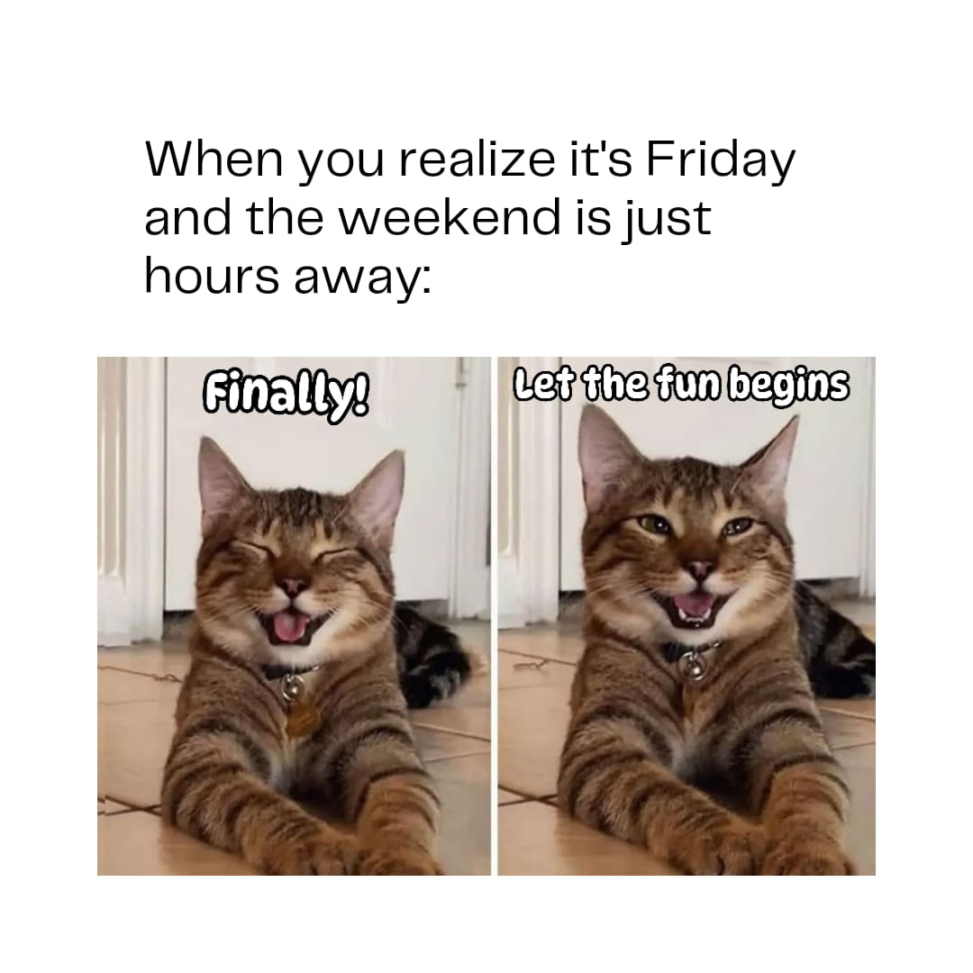 VictoriaVets_'s tweet image. Not that we're counting 🙃
#weekendiscoming #weekendfun