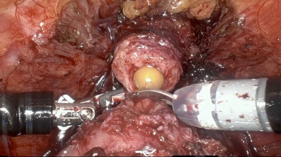 Igor Sorokin tweet media