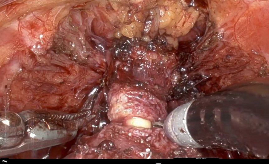 Igor Sorokin tweet media