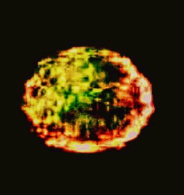 GodSawUs's tweet photo. When I say the phenomenon is cloning itself &amp; growing, and that this is the reason for the different forms- this is what I mean. You’ve all seen orbs like this. They are gathering energy &amp; resources to split again. Then the process starts over. We are harvested continuously https://t.co/7NpnQnt5Sv