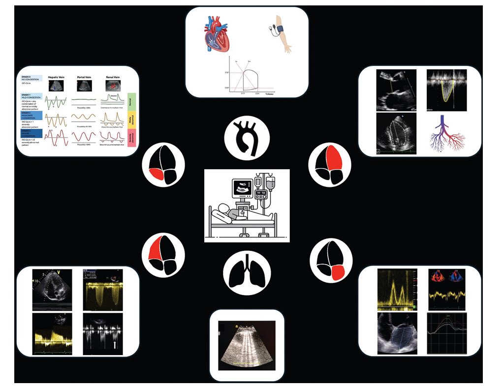 Benigno Valderrábano Salas tweet media